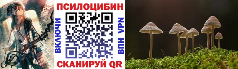 Псилоцибиновые грибы мицелий  Купить закладки  Канаш 